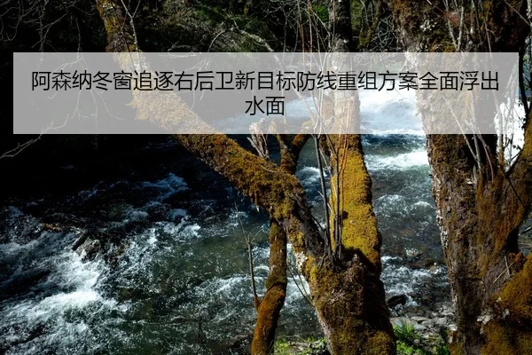 阿森纳冬窗追逐右后卫新目标防线重组方案全面浮出水面
